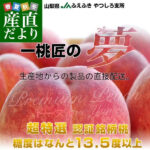 Yatsushiro Ichinomiya Ichitosho Momo | Yamanashi Prefecture