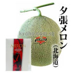 Yubari Melon | Hokkaido Prefecture