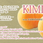 Golden Peach - Kimiko | Yamanashi Prefecture
