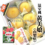 Golden Peach - Kimiko (Premium - Shu Grade) | Yamanashi Prefecture | 6 Pcs