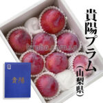 Kiyo Plum (Top Premium) | Yamanashi Prefecture | 8 Pcs