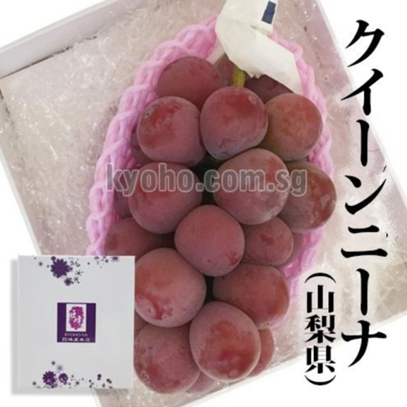 Queen Nina Grapes | Yamanashi Prefecture