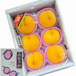 Golden Peach - Kimiko (Premium - Shu Grade) | Yamanashi Prefecture | 6 Pcs