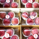 Summer Angel Plum | Yamanashi Prefecture | 3L Size