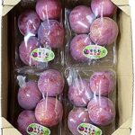 Kiyo Plum (Top Premium) | Fukuoka Prefecture | 4 Packs