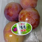 Kiyo Plum (Top Premium) | Fukuoka Prefecture | 1 Pack