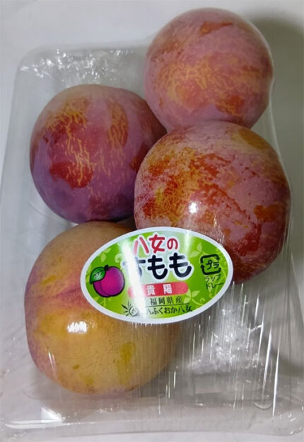 Kiyo Plum (Top Premium) | Fukuoka Prefecture | 1 Pack