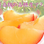 Kiyo Plum (Top Premium) | Yamanashi Prefecture