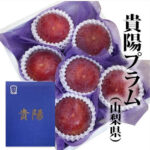 Kiyo Plum (Top Premium) | Yamanashi Prefecture | 6 Pcs