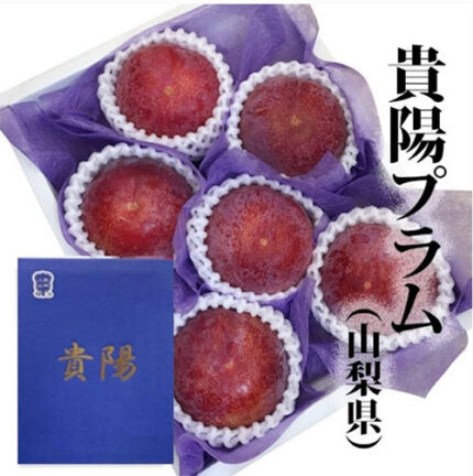 Kiyo Plum (Top Premium) | Yamanashi Prefecture | 6 Pcs