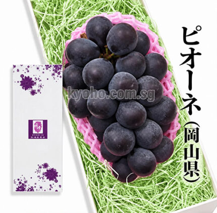 Pione Grapes | Akashu Premium Grade | Okayama Prefecture | 830g