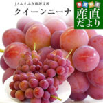 Queen Nina Grapes | Yamanashi Prefecture
