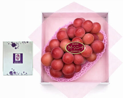 Queen Nina Grapes (Seedless) | Yamanashi Prefecture | 620g
