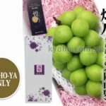 Shine Muscat "Kiramekino" Premium Variety | Okayama Prefecture | 710g