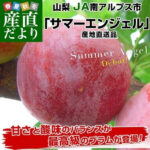 Summer Angel Plum | Yamanashi Prefecture