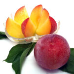 Summer Angel Plum | Yamanashi Prefecture