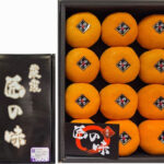 Takumi No Aji Mikan | Nagasaki Prefecture | 12 Pcs