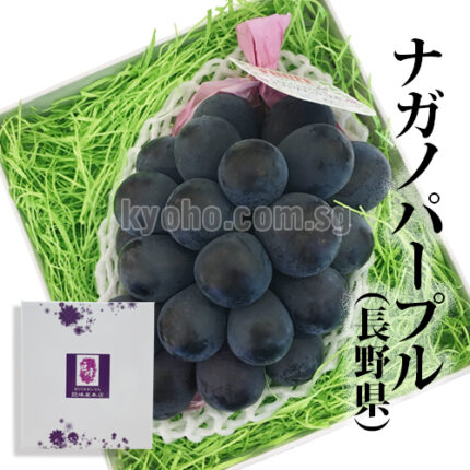 Nagano Purple Grapes | Nagano Prefecture | 830g