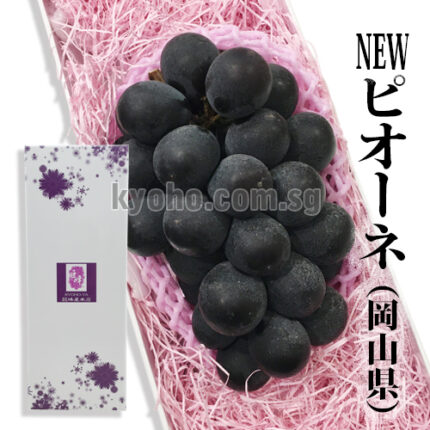 Pione Grapes (Seedless) | Okayama Prefecture | 830g