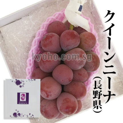 Queen Nina Grapes | Yamanashi Prefecture
