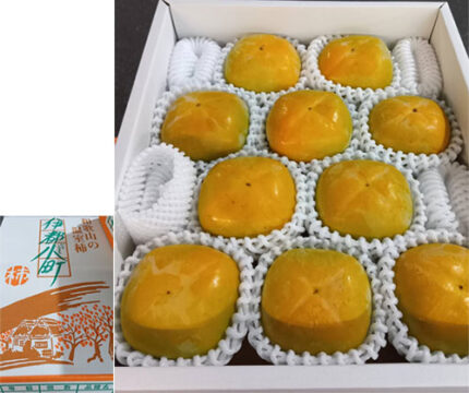 House Grown Tone Kaki (Seedless) | Wakayama Prefecture