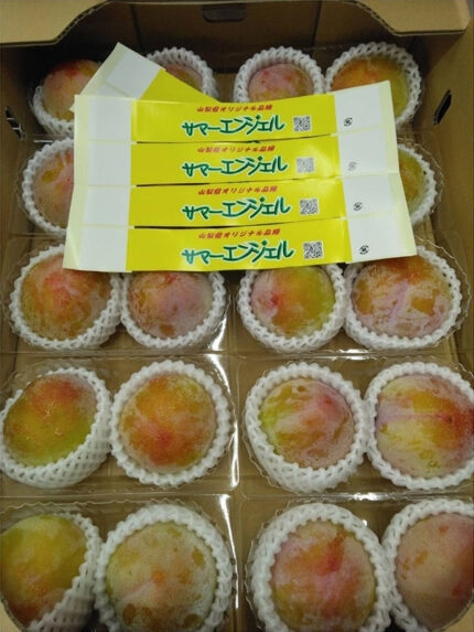 Summer Angel Plum | Yamanashi Prefecture | 4L Size