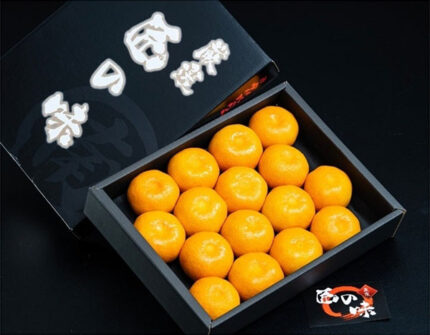 Takumi No Aji Mikan | Nagasaki Prefecture | 16 Pcs