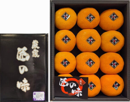 Takumi No Aji Mikan | Nagasaki Prefecture | 12 Pcs