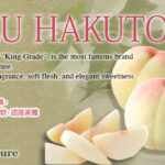 Royal Yume Shimizu Hakutou | Okayama Prefecture