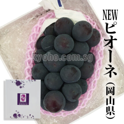 Pione Grapes | Premium Grade - Akashu (Seedless) | Okayama Prefecture | 620g