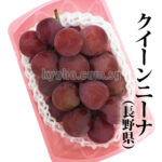 Queen Nina Grapes | Yamanashi Prefecture | Pack