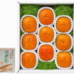 House Grown Tone Kaki (Seedless) | Wakayama Prefecture | 9 Pcs