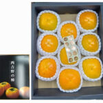 Nishiyoshino Tone Kaki | Nara Prefecture | L Size | 9pcs