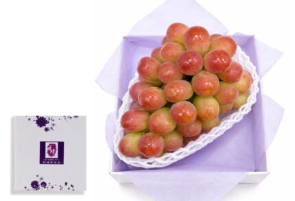 Sun Shine Red Grapes | Yamanashi Prefecture | Shu Grade | 620g