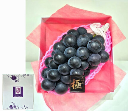 Fuji Minori Grapes (Jumbo Size Seedless) | Yamanashi Prefecture | 710g
