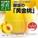 Golden Peach (Premium Grade) | Yamanashi Prefecture