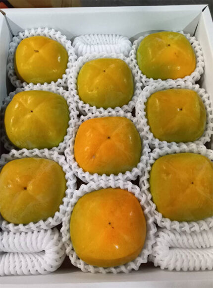 House Grown Tone Kaki (Seedless) | Wakayama Prefecture | 9 Pcs