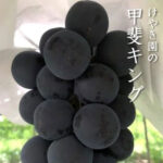 Kai King (Black King) Premium Grapes | Yamanashi Prefecture
