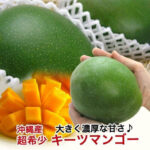 Keats Mango | Okinawa Prefecture