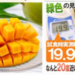 Keats Mango | Okinawa Prefecture
