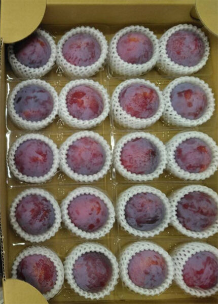 Kiyo Plum (Top Premium) | Yamanashi Prefecture | 2 Pcs