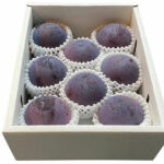 Kouji Premium Plum | Yamanashi Prefecture | 6 Pcs Gift Box