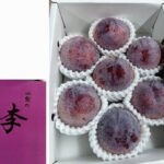 Kouji Premium Plum | Yamanashi Prefecture | 6 Pcs