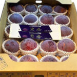 Kouji Premium Plum | Yamanashi Prefecture | 2 Pcs