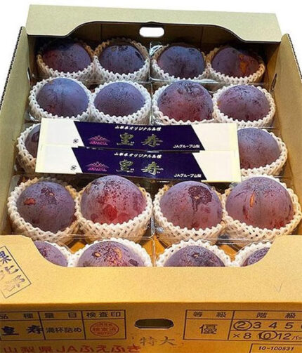 Kouji Premium Plum | Yamanashi Prefecture | 2 Pcs