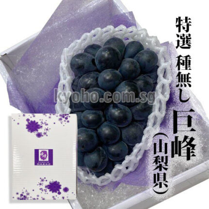 Kyoho Grapes | (Seedless) Aoshu Grade | Yamanashi Prefecture | 620g