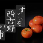 Nishiyoshino Tone Kaki | Nara Prefecture