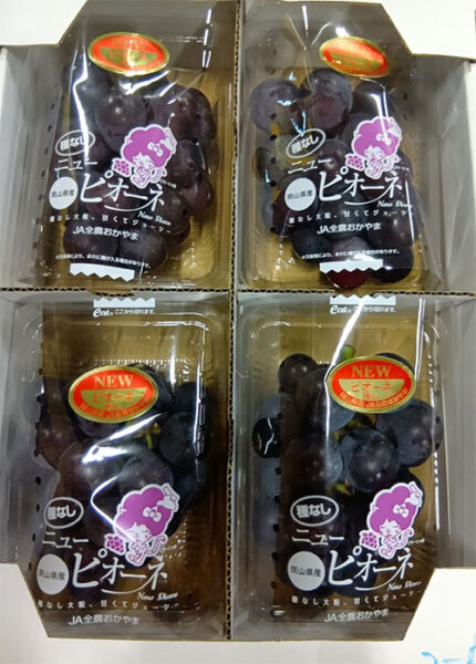 Pione Grapes | Premium Grade - Akashu (Seedless) | Okayama Prefecture | 350g Pack