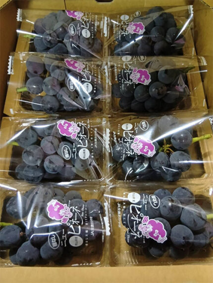 Pione Grapes | Premium Grade - Akashu (Seedless) | Okayama Prefecture | 350g Pack