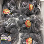 Pione Grapes | Premium Grade - Akashu (Seedless) | Okayama Prefecture | 400g Bunch